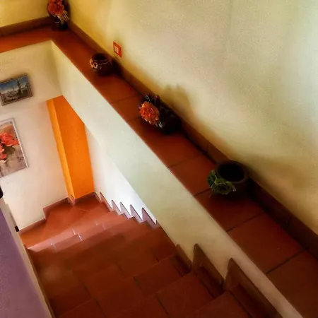 Ferraro Turina * Motta Camastra